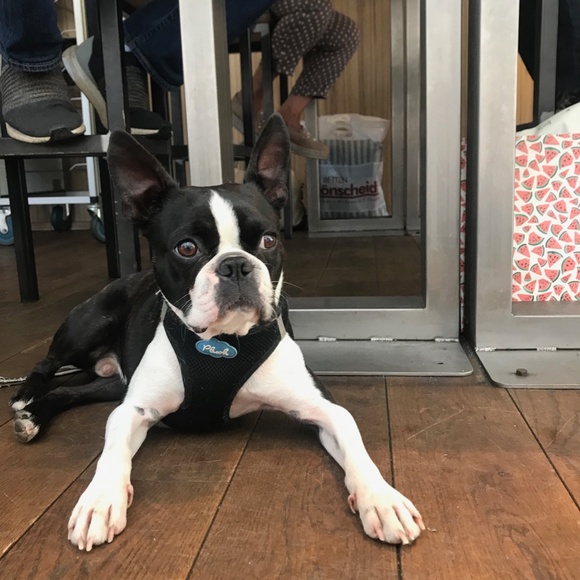 About Me - Shop With Confidence - Picture 10 of 15